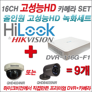 [EVENT] [올인원 2M] DVR-116G-F1 16CH + 하이크비전OEM 200만화소 올인원 카메라 9개 SET (실내/실외형 3.6mm 렌즈 출고)